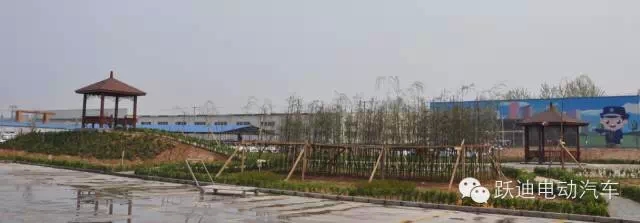 春暖花開、綠色躍迪---躍迪集團綠化工作進行中！