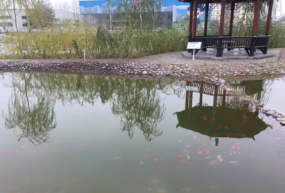 下雪天的躍迪集團，咱也跟跟風(fēng)。。。