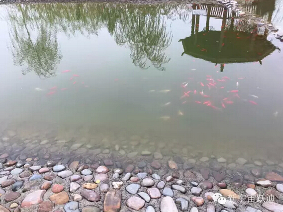 下雪天的躍迪集團，咱也跟跟風(fēng)。。。