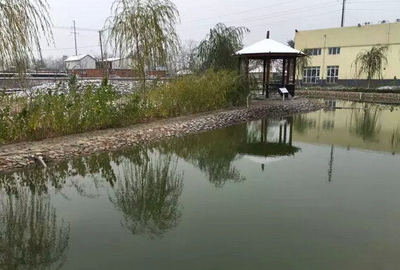 下雪天的躍迪集團，咱也跟跟風(fēng)。。。