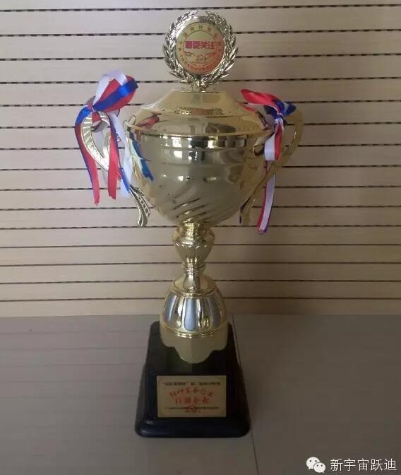 躍迪集團(tuán)旗下河北新宇宙電動車有限公司榮獲星際集團(tuán)杯第二屆2015年度特種裝備行業(yè)百強企業(yè)