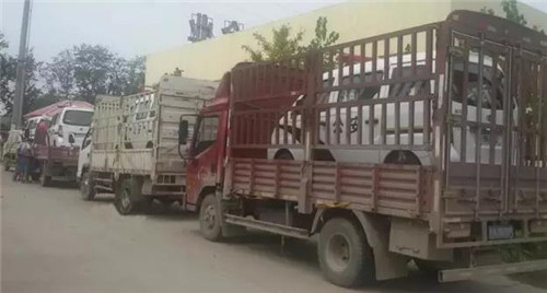 電動(dòng)巡邏車(chē)報(bào)價(jià)