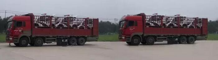 躍迪移動(dòng)城管執(zhí)法站、躍迪電動(dòng)巡邏車(chē)大批量發(fā)往首都北京——有躍迪,才安心